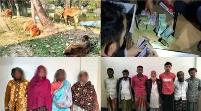 নেত্রকোণার কলমাকান্দায়  (ডিবির)  অভিযানে ৪৬ লাখ টাকা, ভারতীয় মাদক ও গরুসহ আটক ১৫