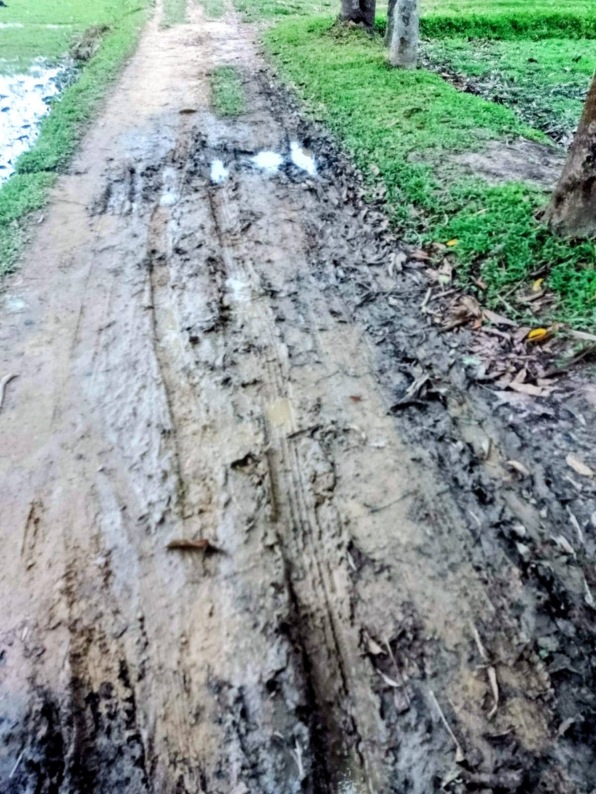 ৩০০ ফুট রাস্তার জন্য আকুল আবেদন, চরম ভোগান্তিতে দুই হাজার মানুষ